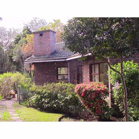 Forest Nest Cottage, Tsitsikamma Стормсривер Экстерьер фото