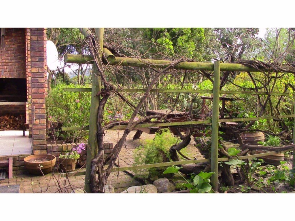 Forest Nest Cottage, Tsitsikamma Стормсривер Экстерьер фото